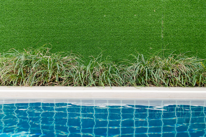 Mistakes People Make When Choosing Plants for Their Garden